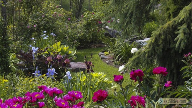 Besöksträdgård, Ulla Andreasson, Enviken