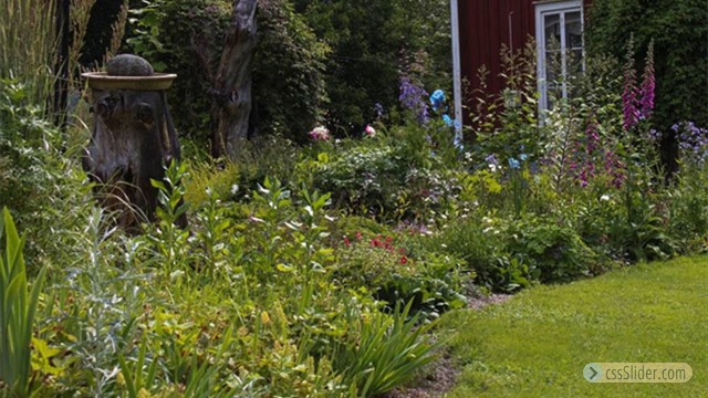 Besöksträdgård, Hannelotte Kindlund, Övertänger