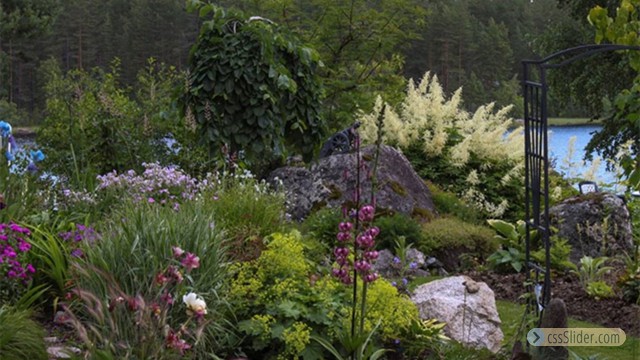 Besöksträdgård, Inger Åkerström, Enviken