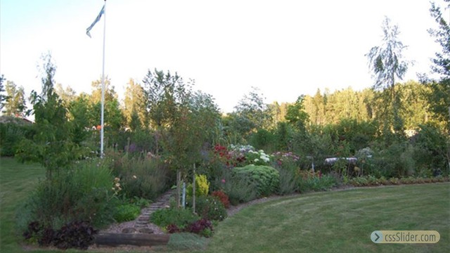 Besöksträdgård,Ammi Wångmar, Borlänge