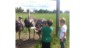 Sahlins Strutsfarm, Borlänge